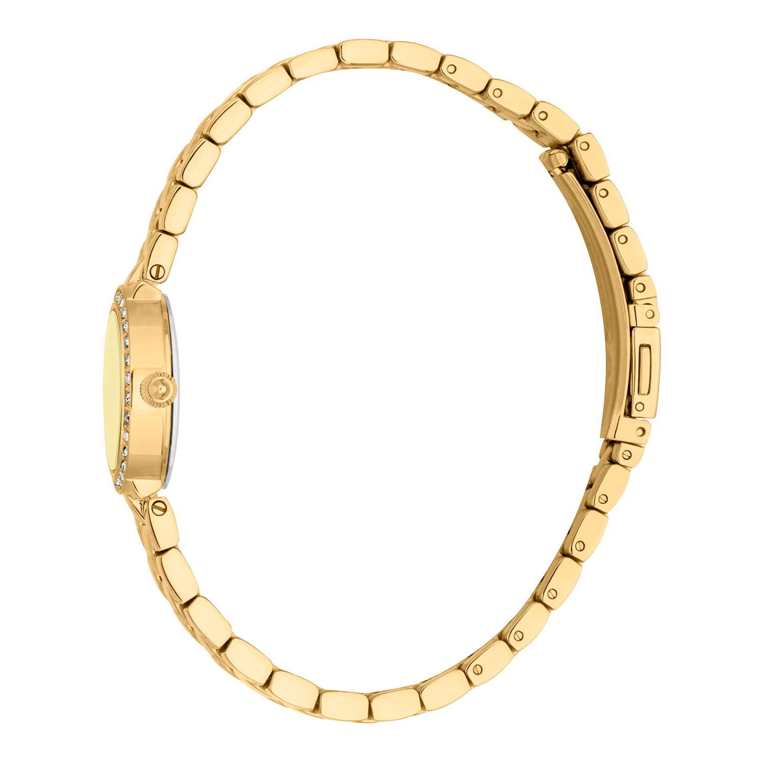 Just Cavalli JC1L362M0055